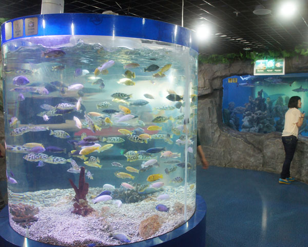 水族館工程